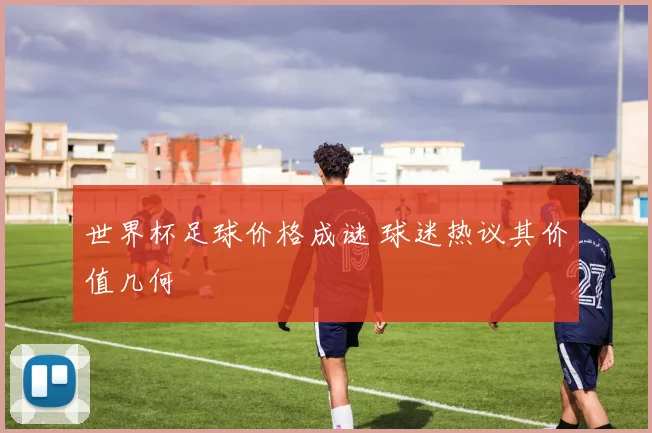 世界杯足球价格成谜 球迷热议其价值几何