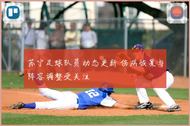 苏宁足球队员动态更新 伤病恢复与阵容调整受关注