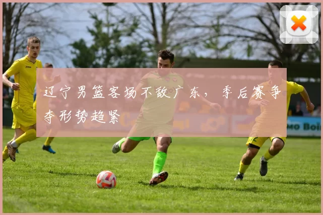 辽宁男篮客场不敌广东，季后赛争夺形势趋紧