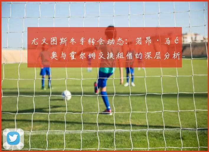 尤文图斯冬季转会动态：若昂·马里奥与霍尔姆交换租借的深层分析_尤文正_交易_那不勒斯